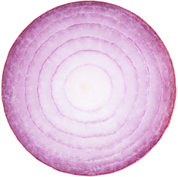 onion