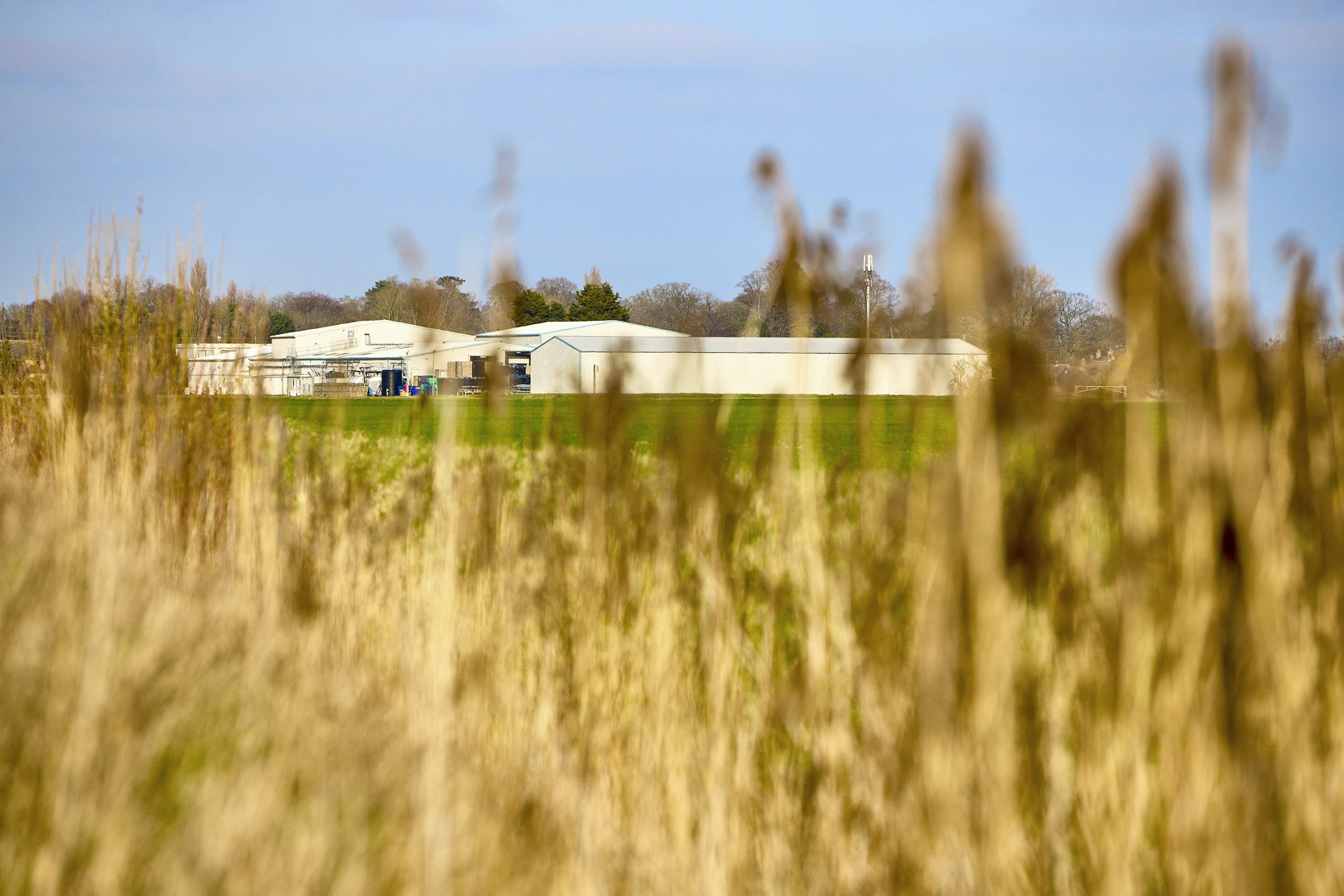 Wide shot of the site, with crops in the foreground