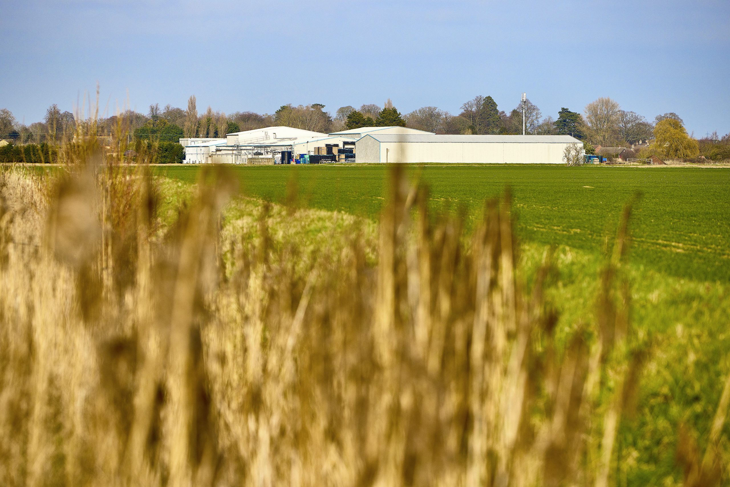 Wide shot of the site, with crops in the foreground