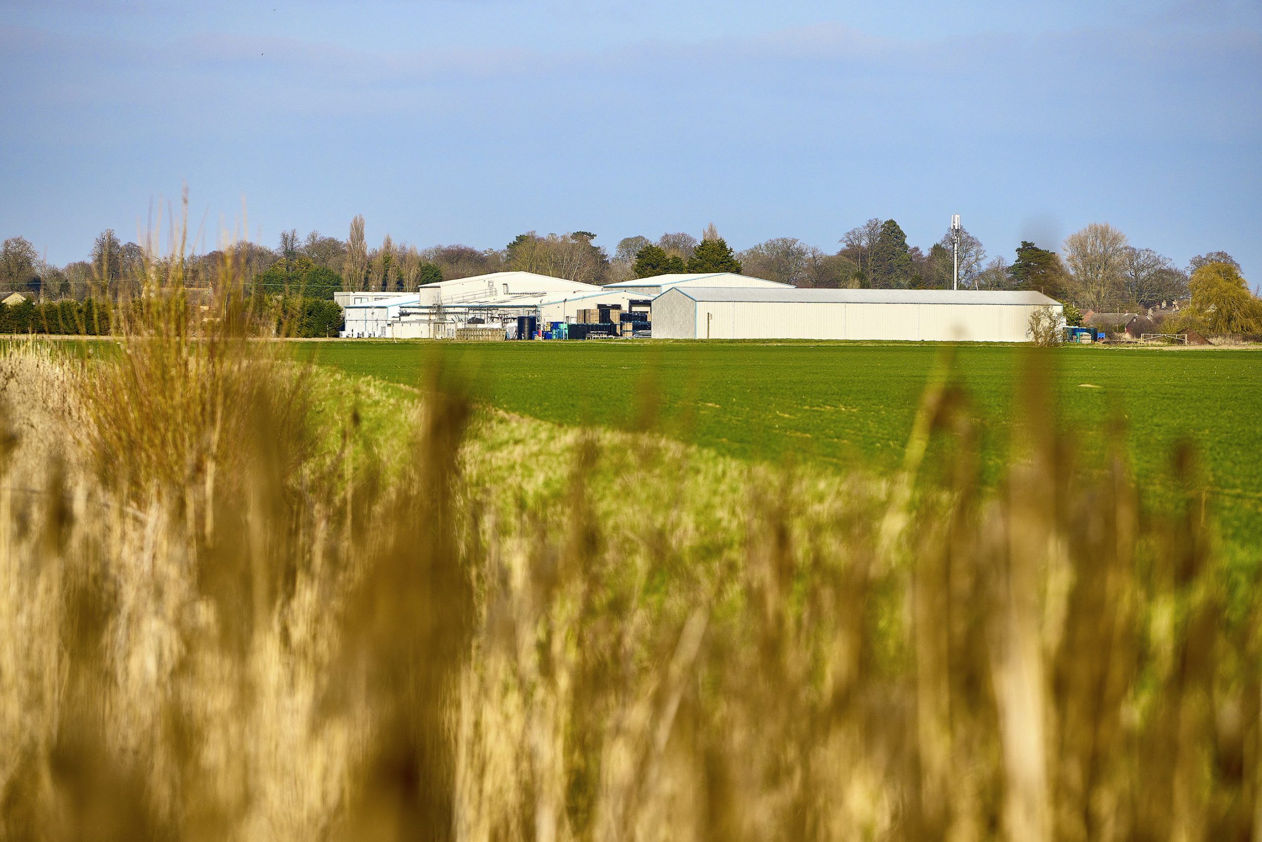 Wide shot of the site, with crops in the foreground