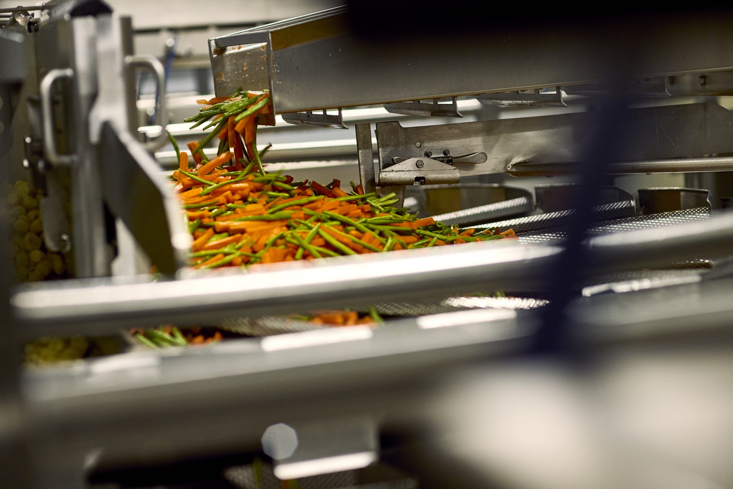 Green beans and carrots making their way along the conveyor belt