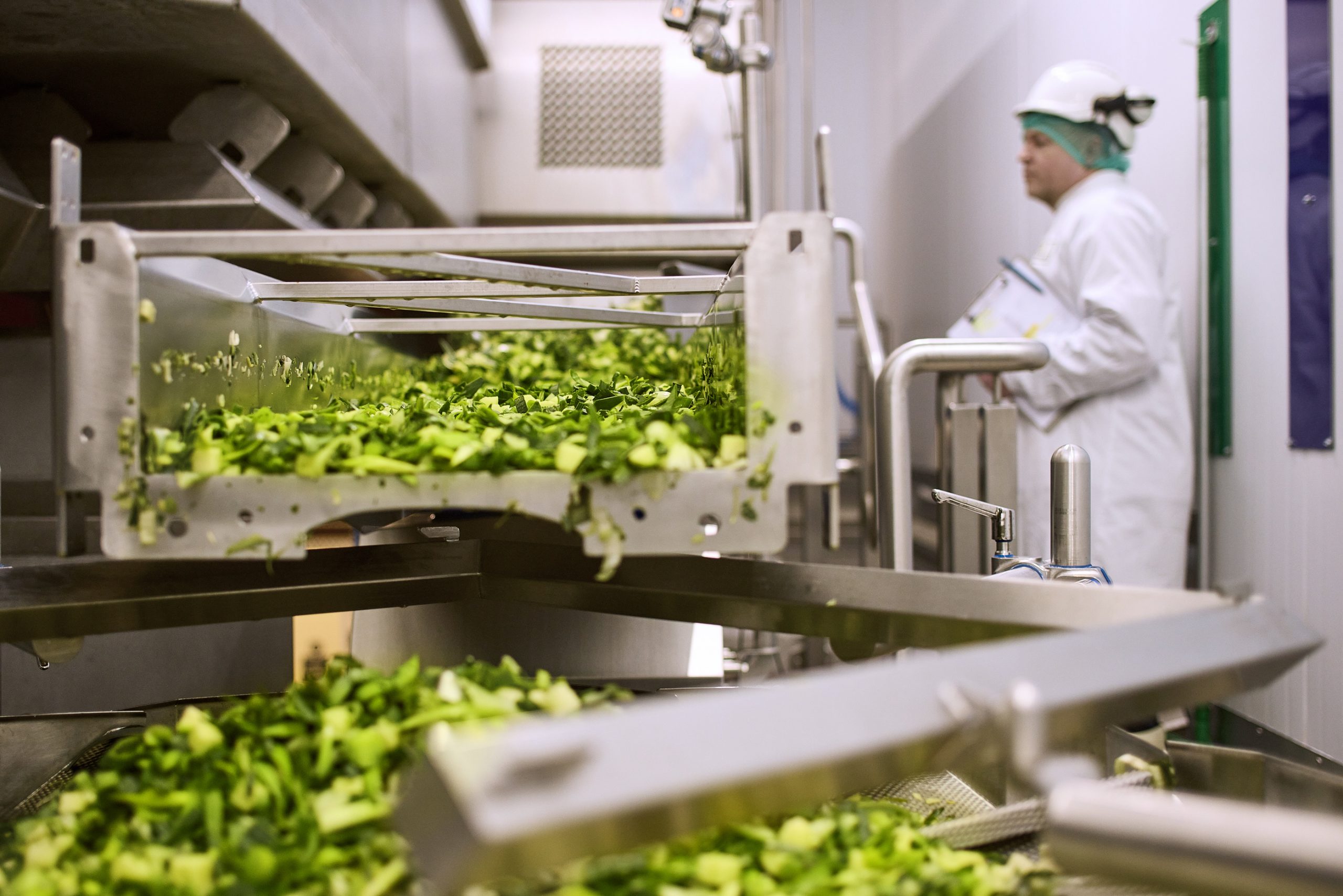 Vegetables being processed in the machines