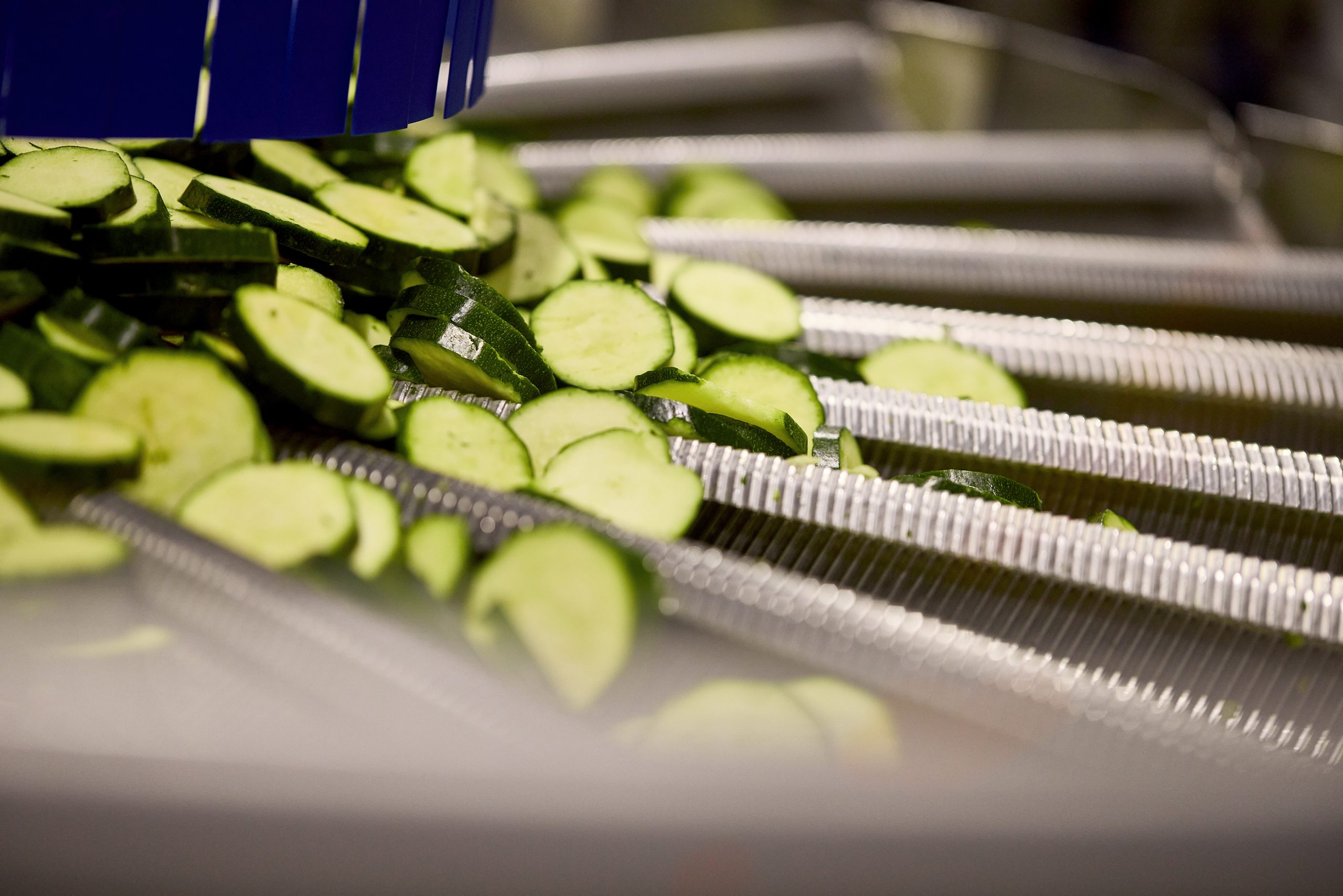 Chopped cucumber being sorted